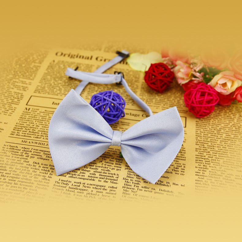 Collier pour animal de compagnie en couleur solide simple