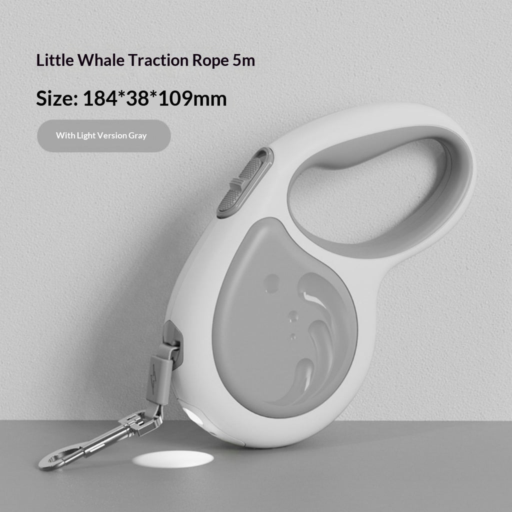 5m laisse rétractable pour animaux avec lampe de poche