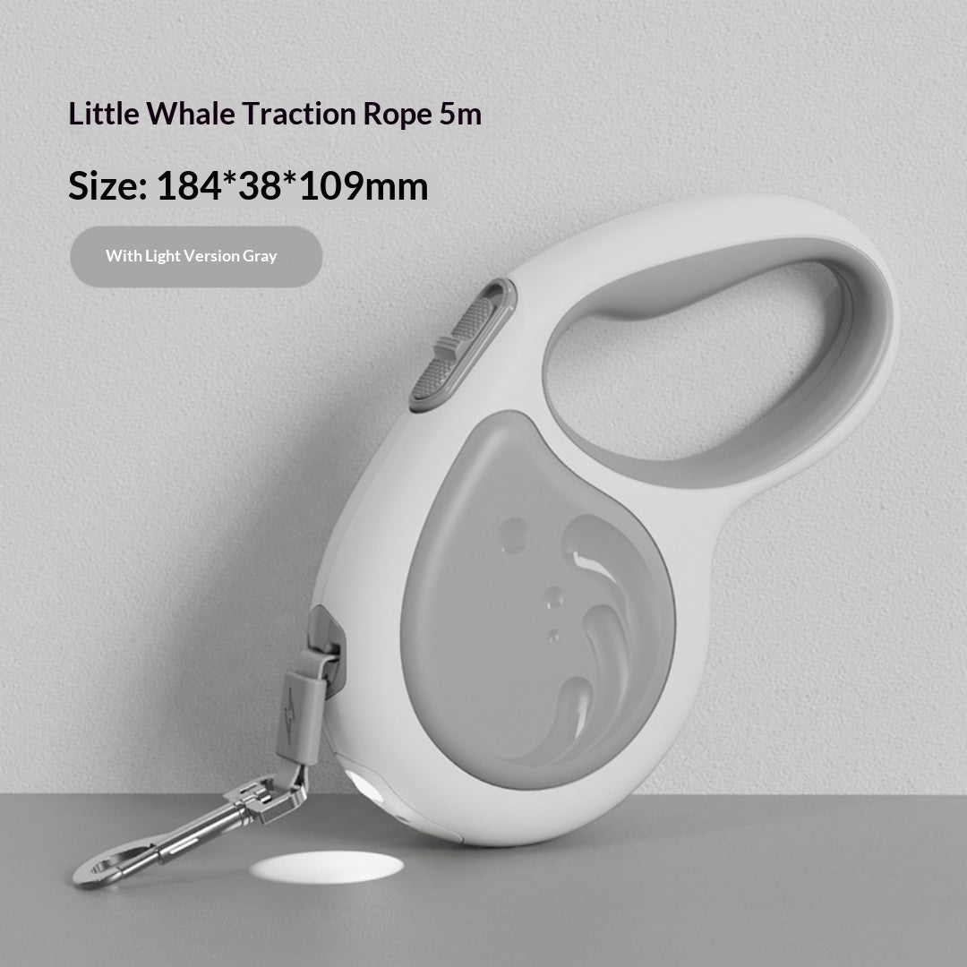5m laisse rétractable pour animaux avec lampe de poche