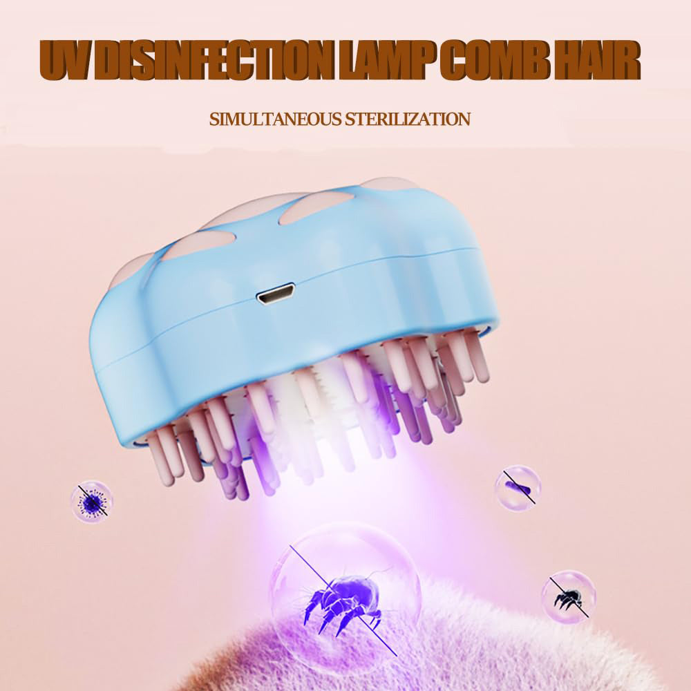 Brosse de chat à vapeur rechargeable