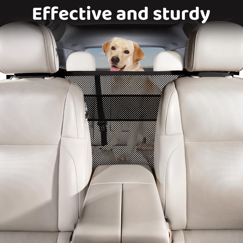 Barrière du réseau de voiture de chien