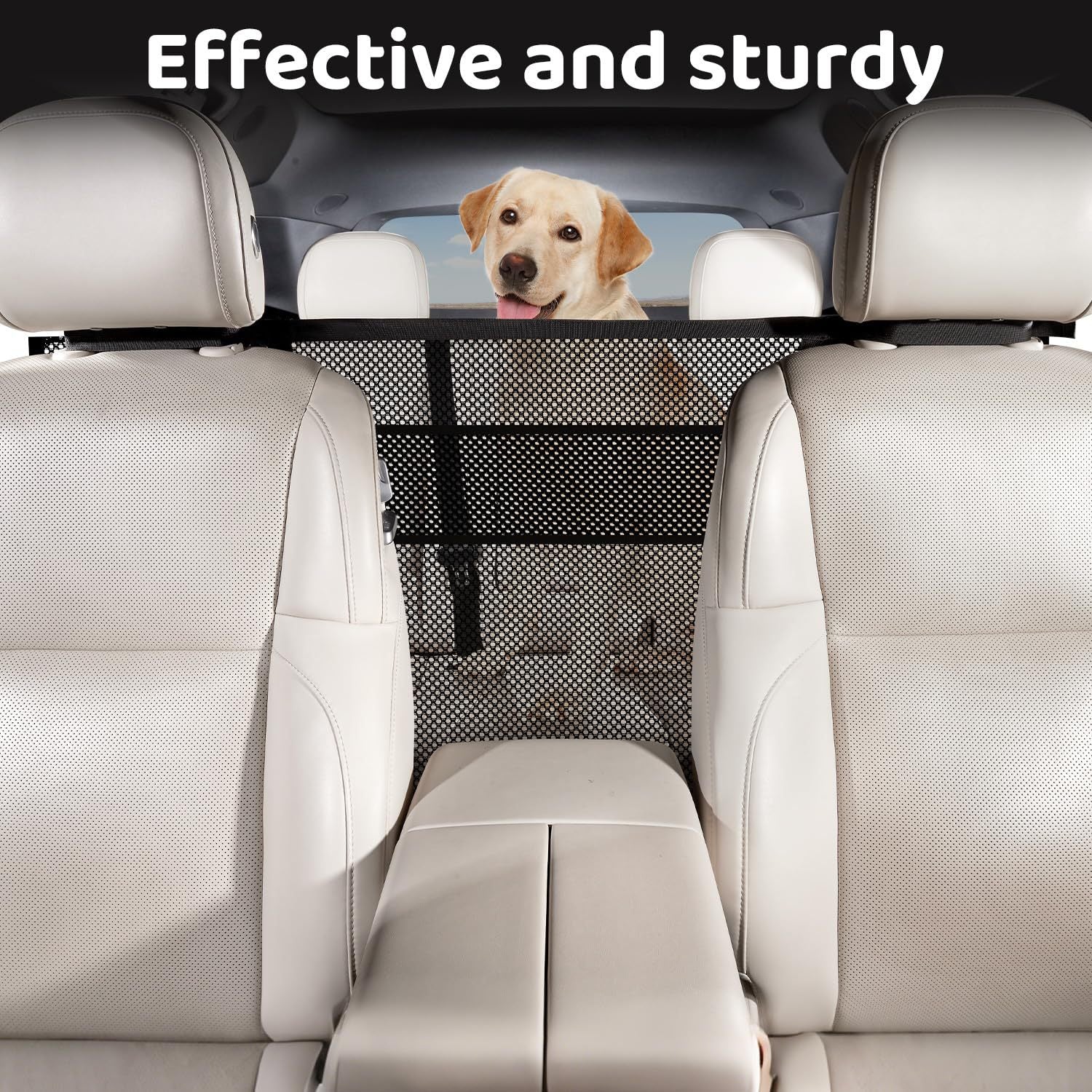 Barrière du réseau de voiture de chien