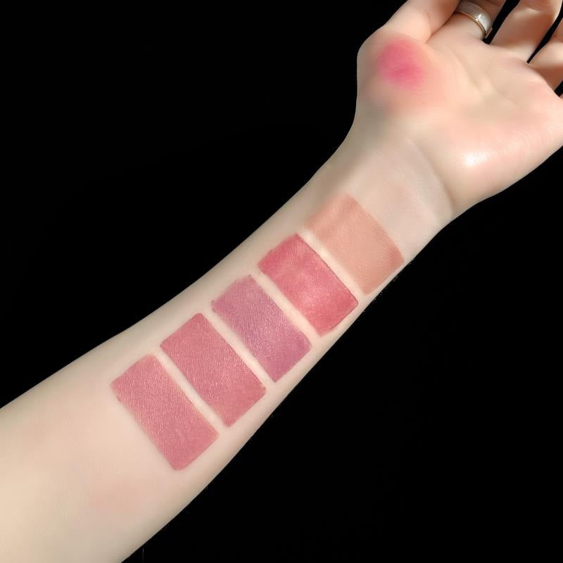 10 Colors Velvet Matte Lipstick Set