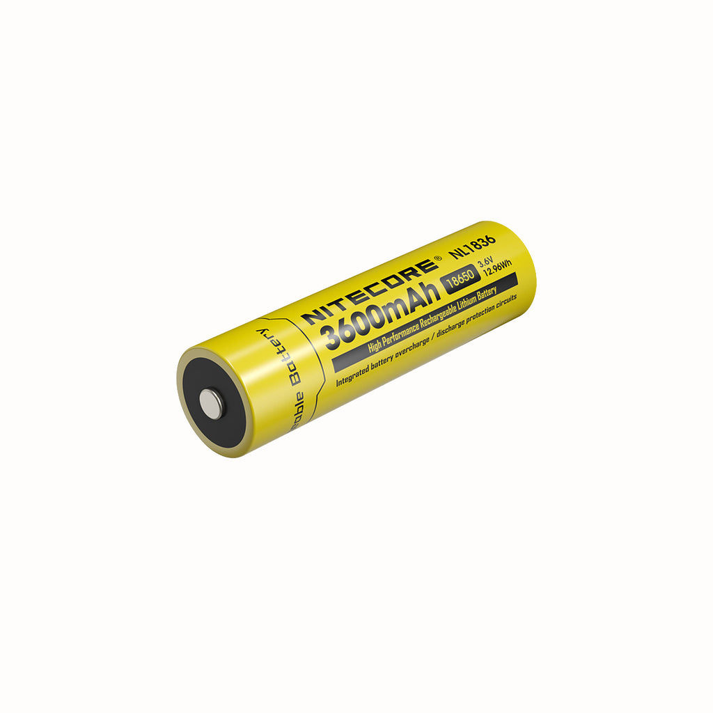 Batterie Lithium rechargeable haute capacité