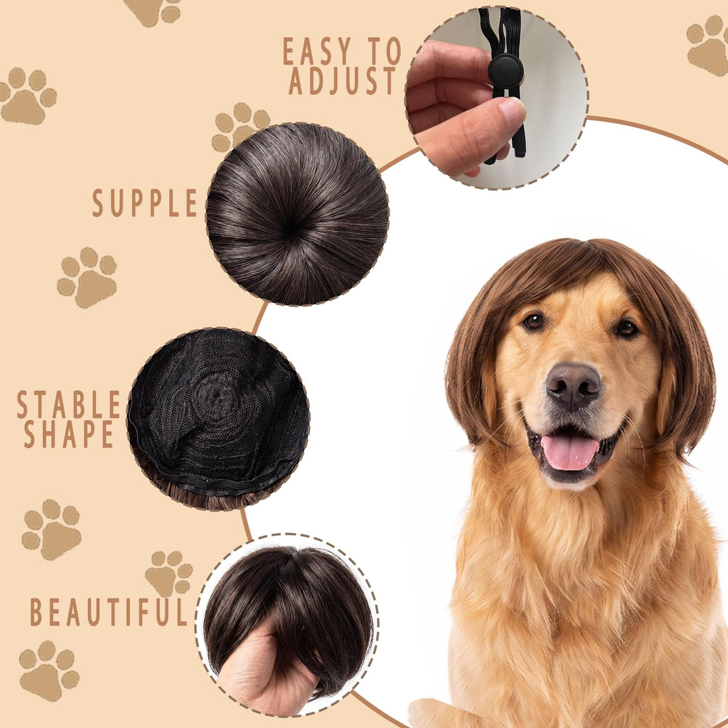 1 pack de chien et de chat drôle