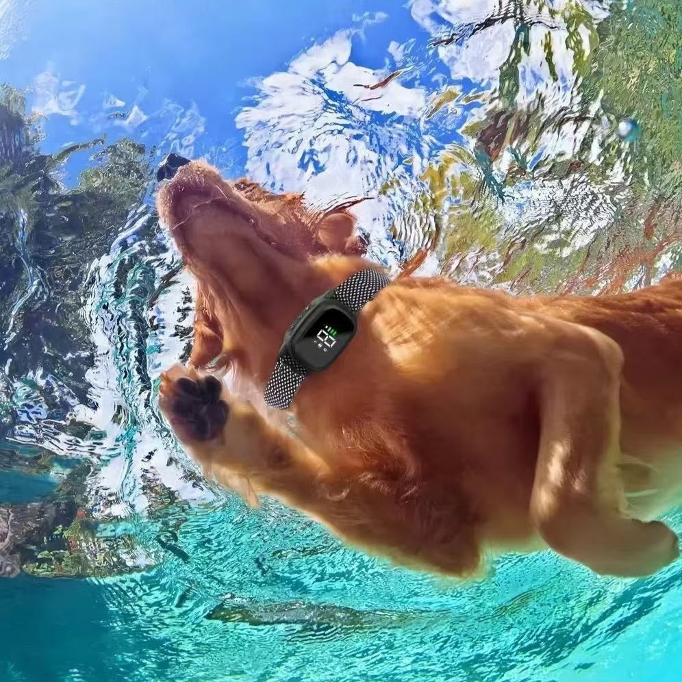 Smart Color-screen Dispositif anti-écorce Rechargeable et Waterproof Dog Training Tool