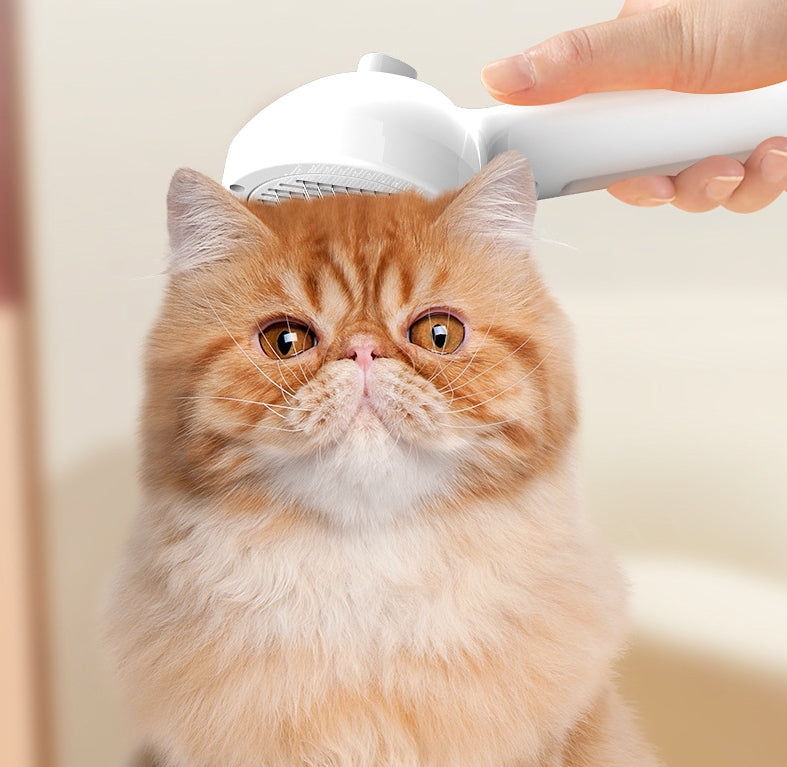 Peigne d'animal auto-nettoyant Animaux de compagnie brosse de démaquillage pour chiens outils de toilettage