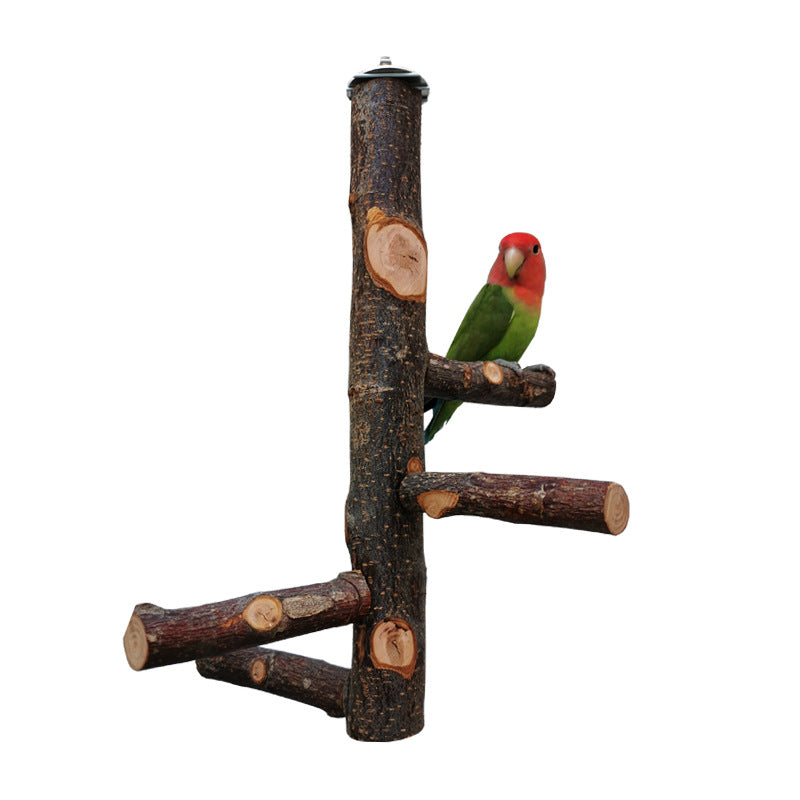 Jouet en bois de perroquet