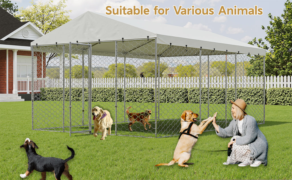 15x10 FT Grand Kennel de chien extérieur avec Canopy