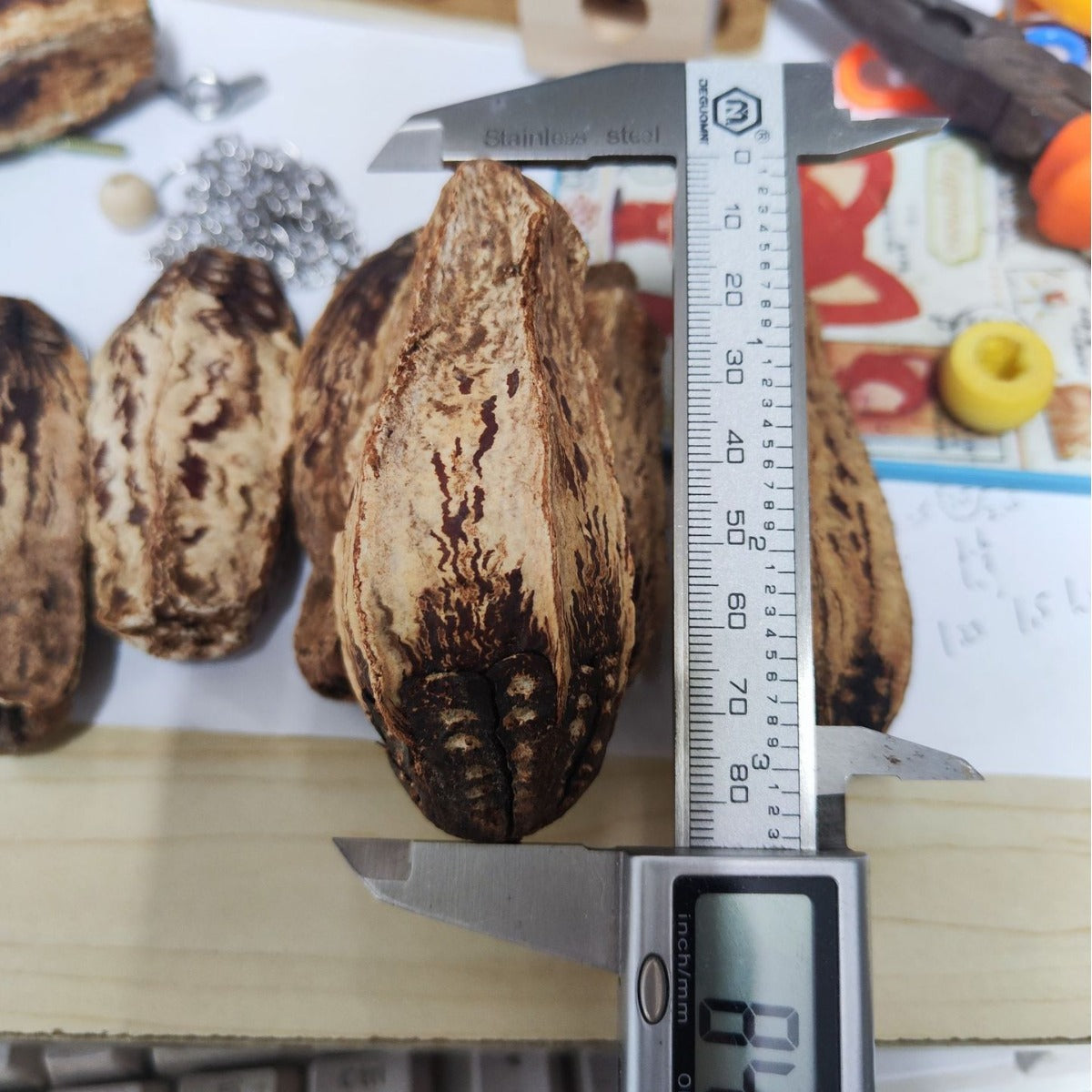 Carambola Noyau d'oiseaux Jouet d'oiseaux Fruits séchés comestibles