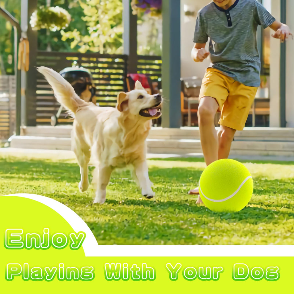 Balle de tennis pour chiens