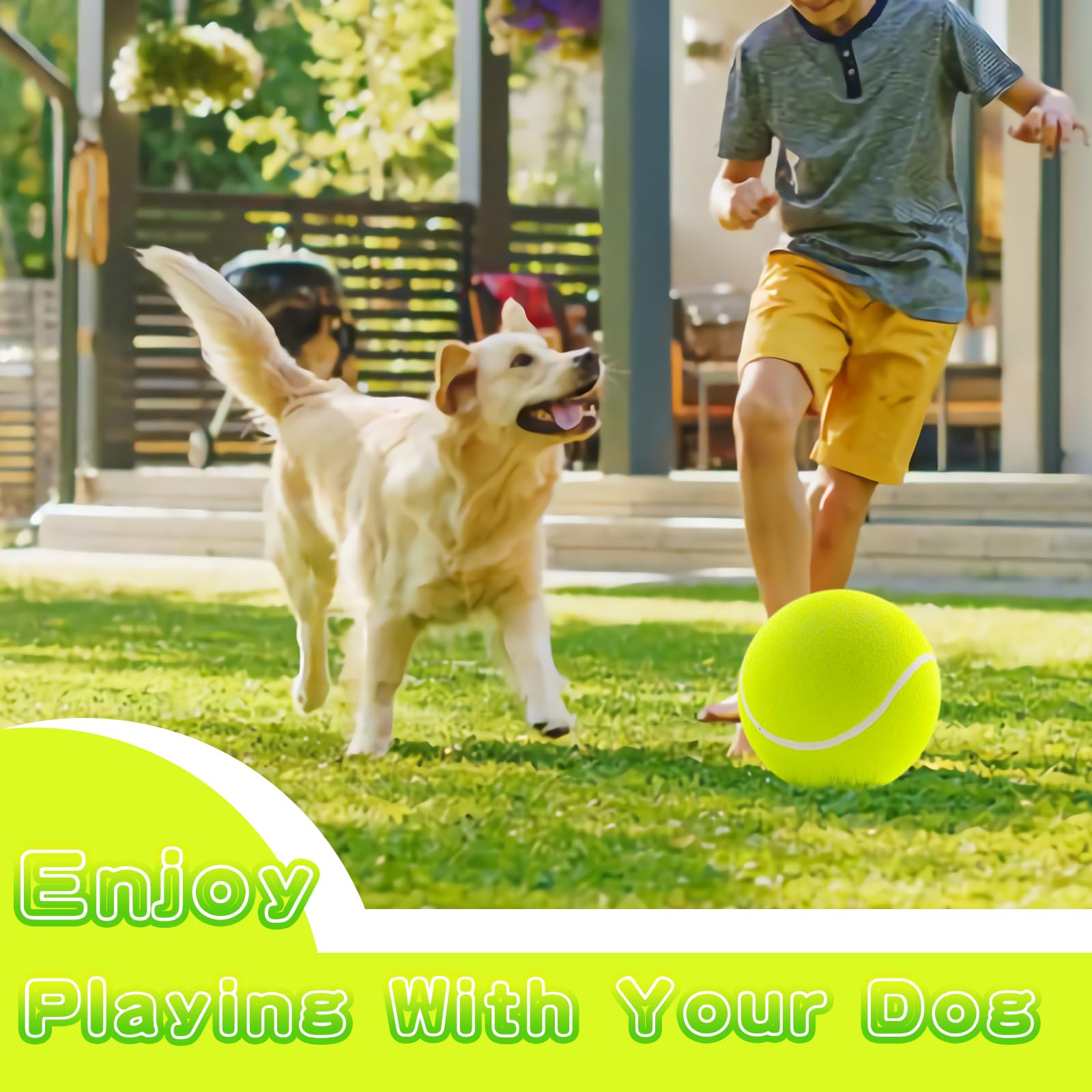 Balle de tennis pour chiens