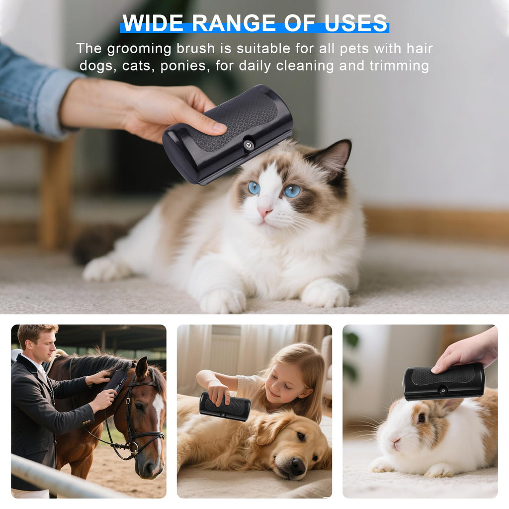 Brosse de chien pour la couverture
