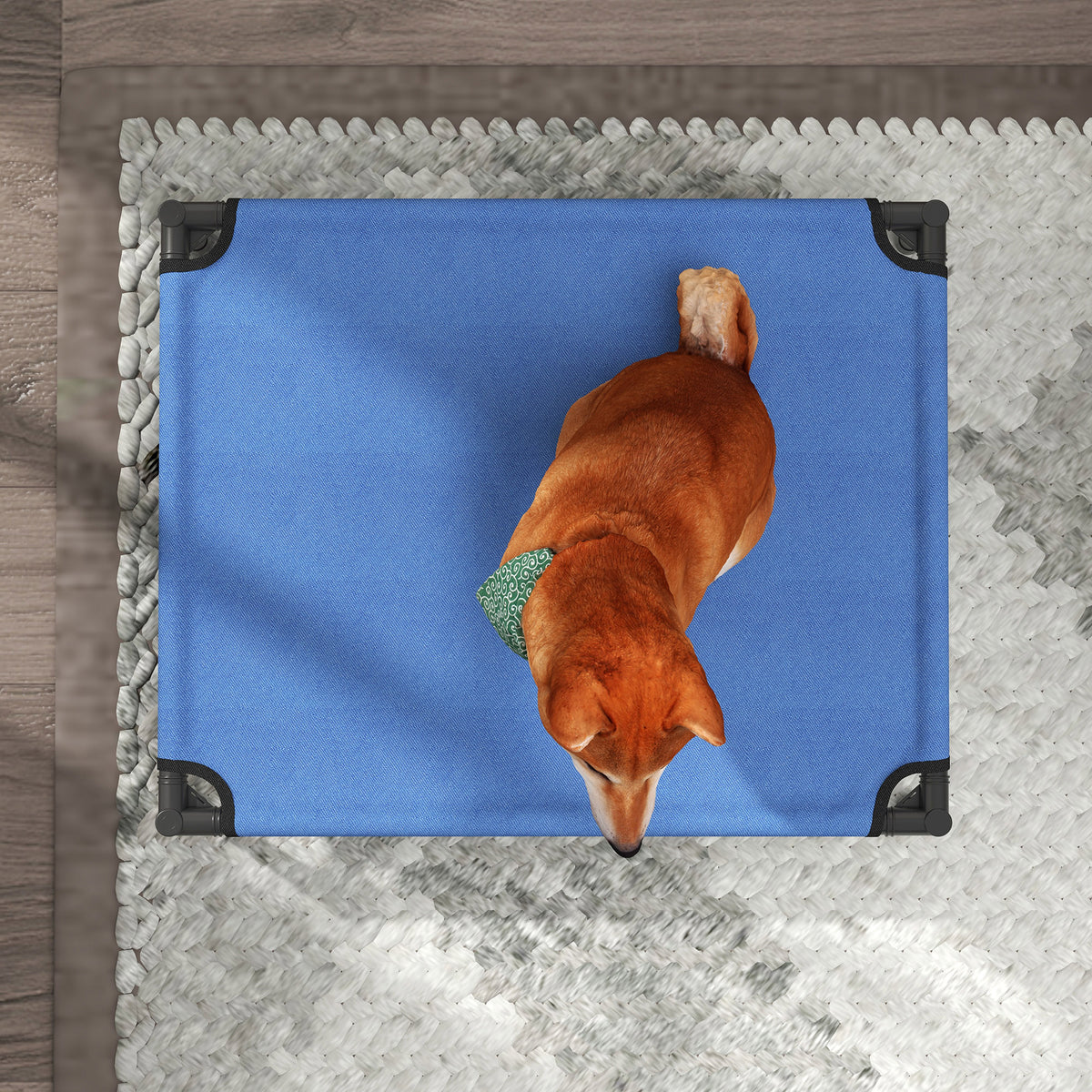 Lit de chien élevé Lit de chien élevé avec cadre métallique robuste et respirant Oxford tissu pour I