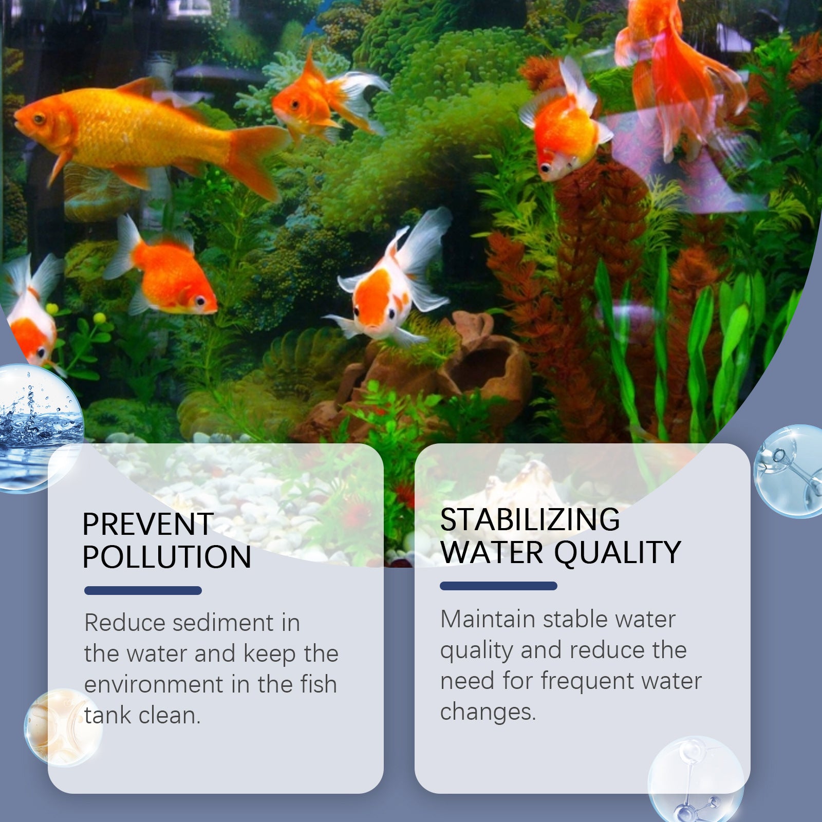 Dépollution de la qualité de l'eau du réservoir de poisson