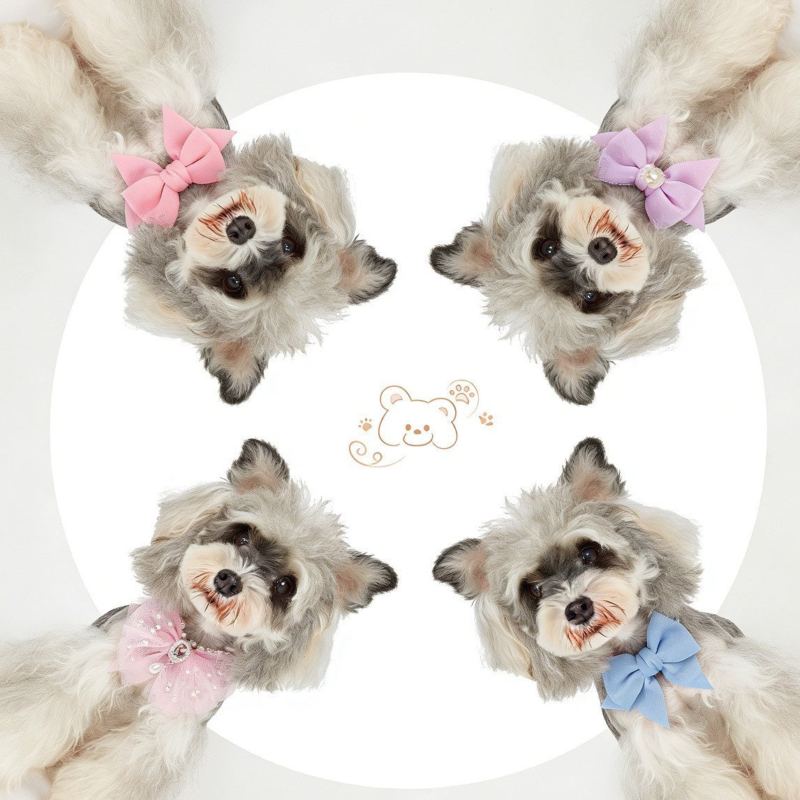 Grand Bow Tie haut de gamme coloré Exquise accessoire pour les animaux de compagnie