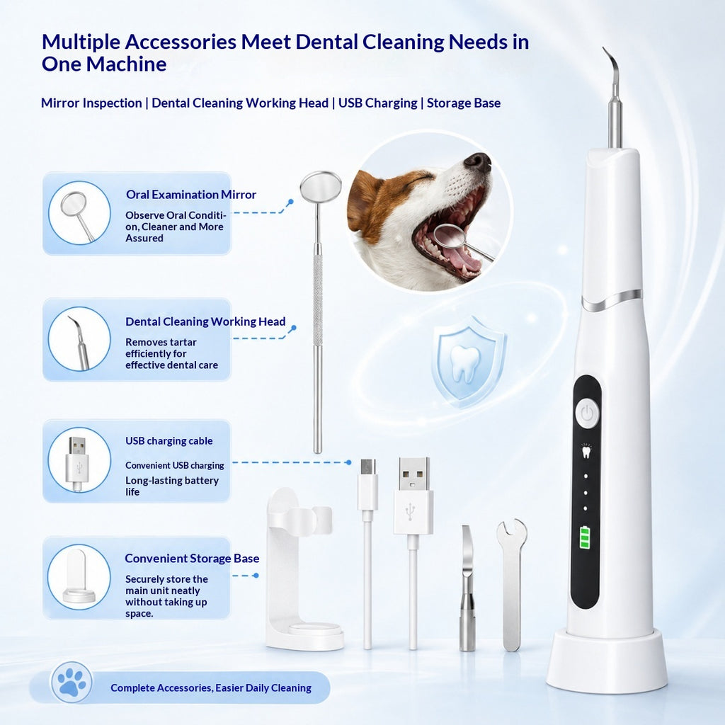 Nettoyeur dentaire ultrasonore de chat