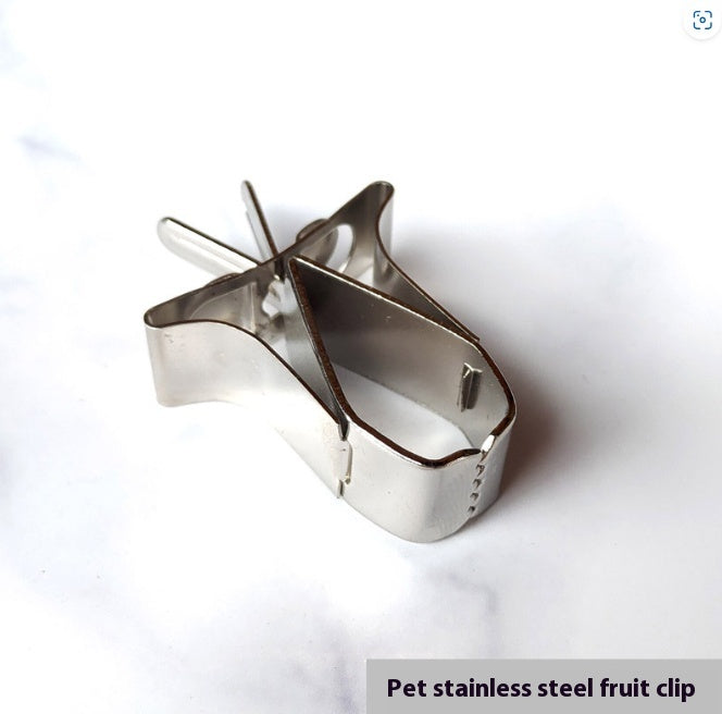 Pour oiseaux en acier inoxydable Fruit Clip Feeder