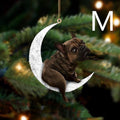 Animaux de compagnie Arbre de Noël Art suspendu Ornement