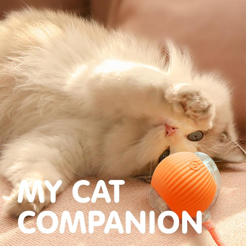 Chat Interactive Ball Toys Automatic Rolling Ball pour Kitten Smart Pet Electri rechargeable