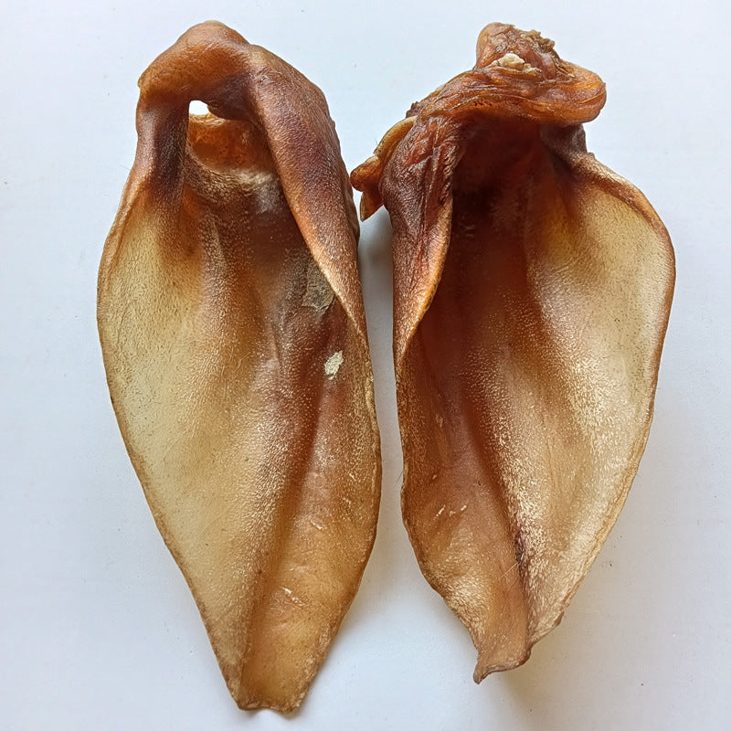 Ablation de cheveux de séchage d'air non additive Chirita Eburnea Toutes les races Universal Molar Long Lasti