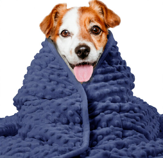 Couverture Thunder lavable chien animal de compagnie