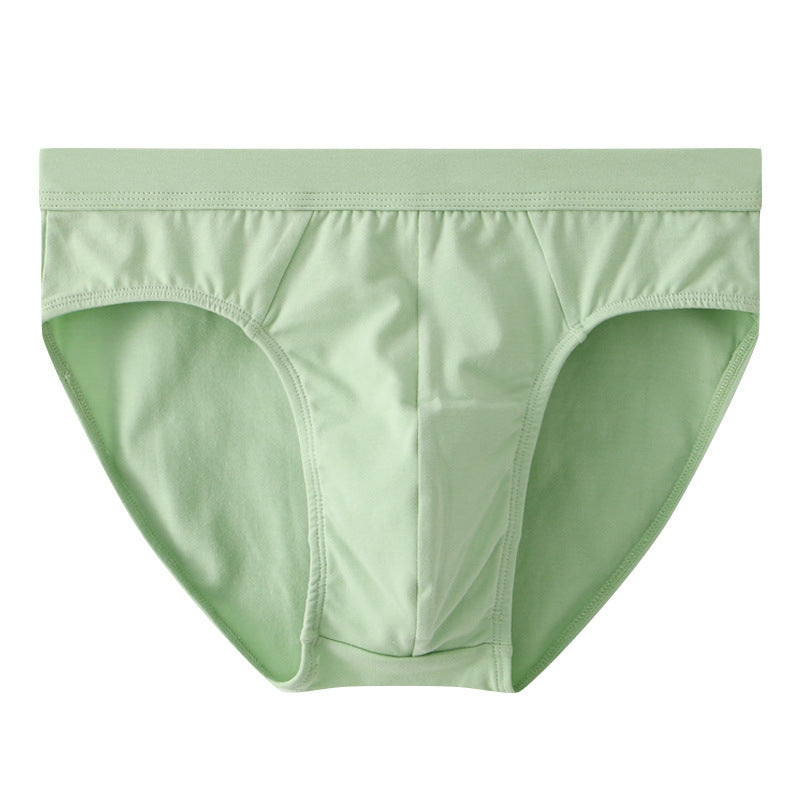 Slips en coton de mode pour homme