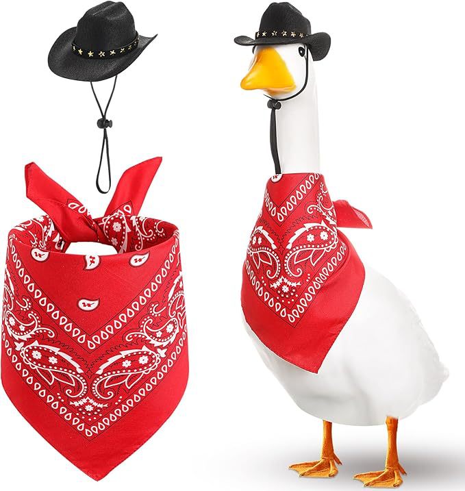 Western Cowboy Hat Saliva Serviette de jardin Party