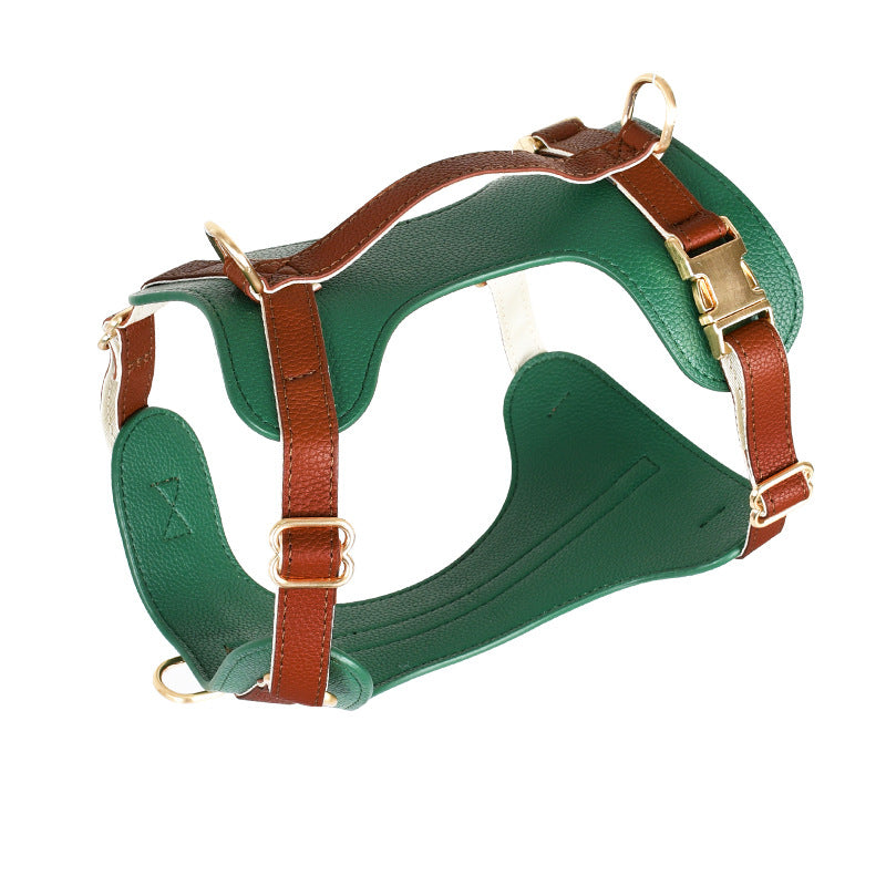 Harnais et laisse en cuir de luxe pour chien
