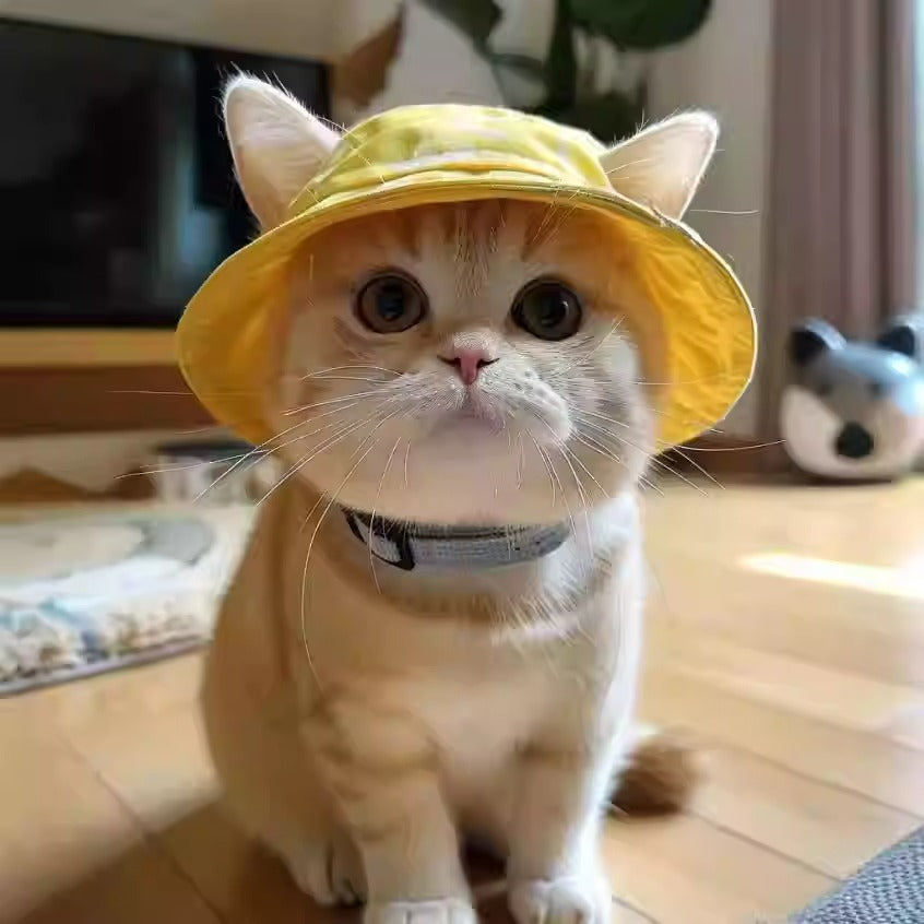 Mignon Oreilles exposées Chapeau de seau de chien chat