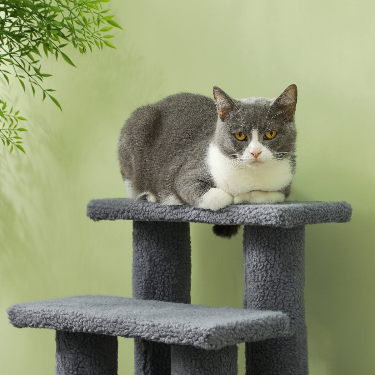 25" 4-Étapes à tapis de chat à échafaudage de poste pour animaux de compagnie