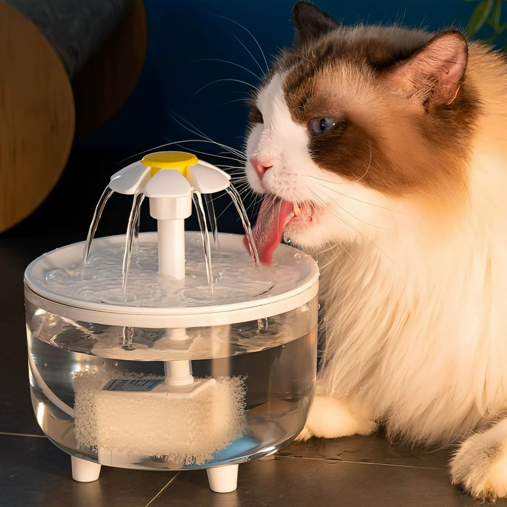 Fontaine d'eau pour animaux de compagnie filtrant automatique pour chats et chiens