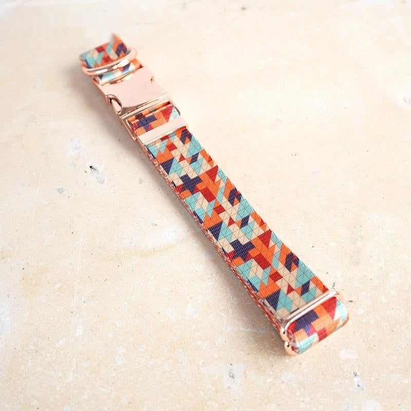 Collier de chien de dune de sable triangulaire