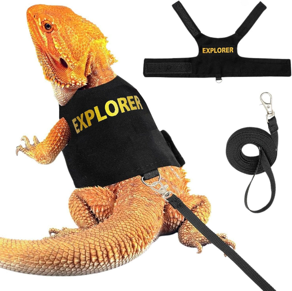 Lézard Leash Reptile Extérieur Poitrine et Harnais de dos