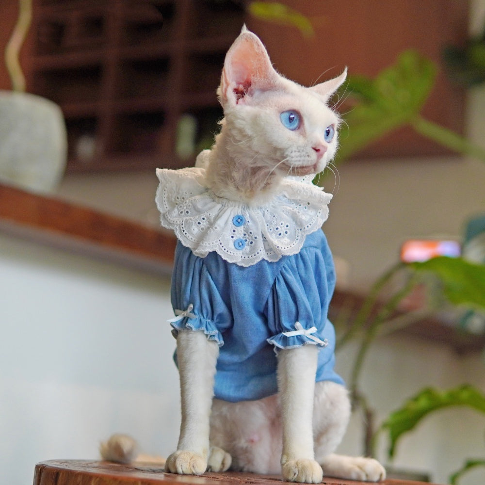 Sphynx Cat robe bleu d'été avec collier de dentelle légère peau-friendly Apparel pour cheveux