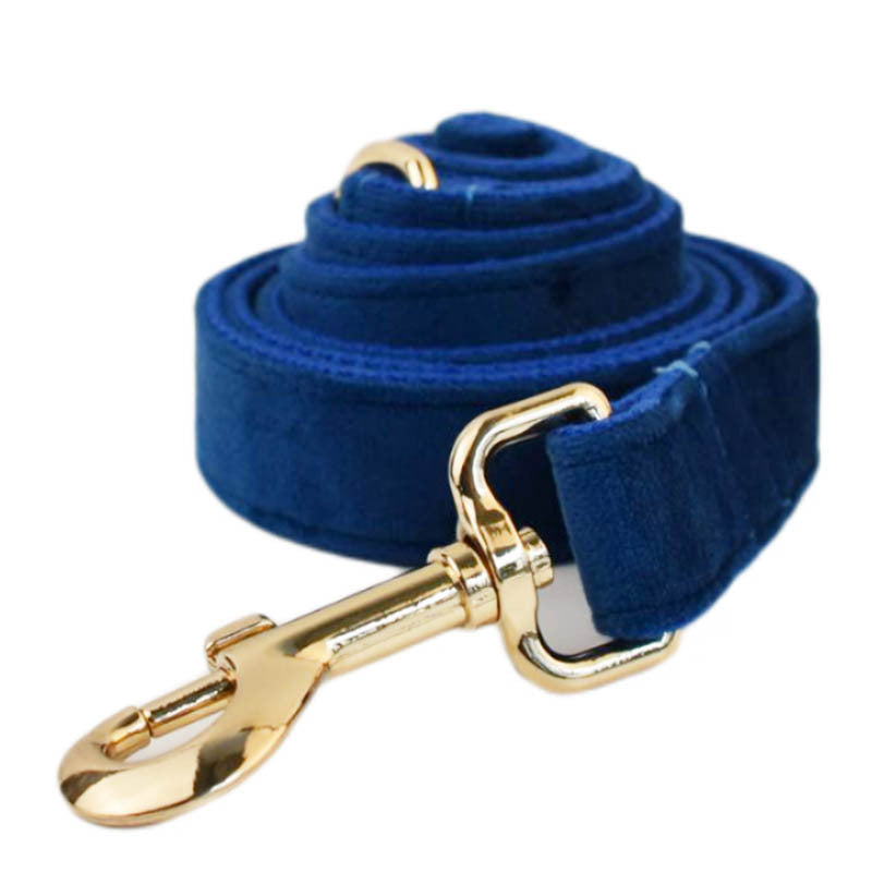 Rope de traction anti-évasion des chiens
