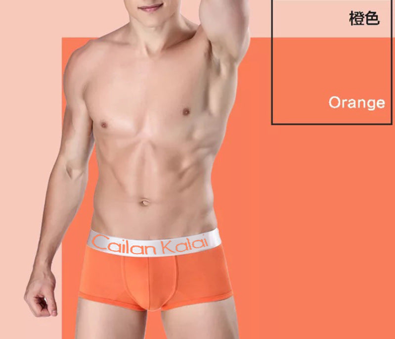 Sous-vêtements pour hommes Boxers Modal Breathable Boxer