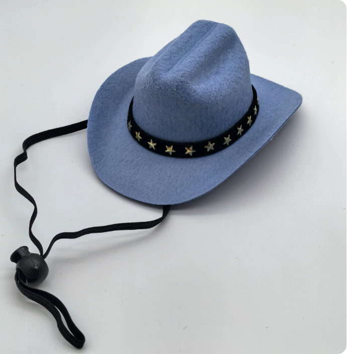 Chapeau de cowboy de chat à cinq points de la mode