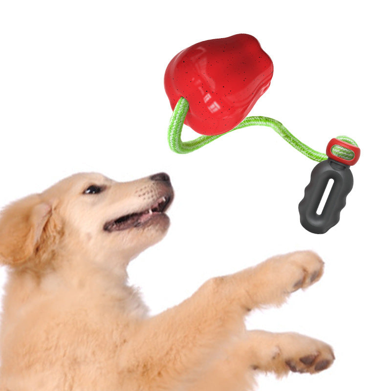 Nourriture pour animaux Jouet d'extérieur pour chiens à boules