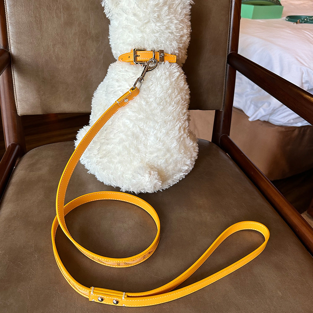 Collier de chien en cuir pour animaux de compagnie