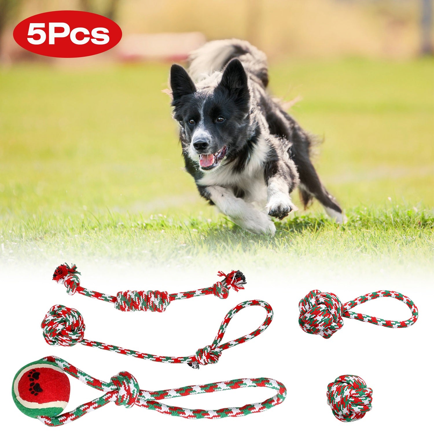Ensemble de 5Pcs Rope de chien de Noël Jouets de Chew Jouets interactifs de chien Set pour chiot petit moyen A