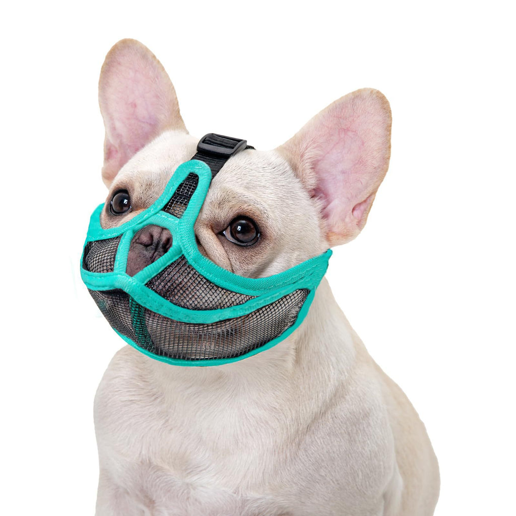 Muselière française Anti-Bite Fumée Respirante Pug Dog Masque visage Pet
