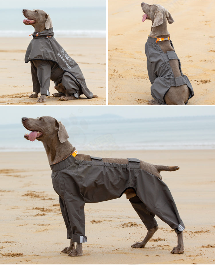 Poncho imperméable moyen grand chien à quatre pattes