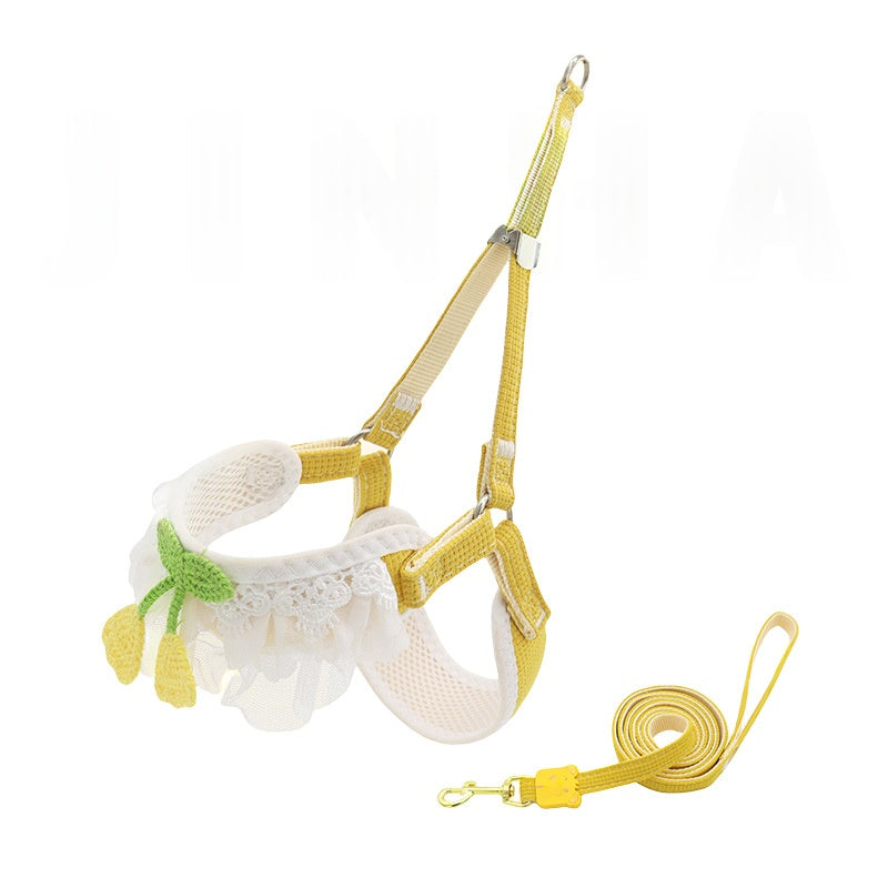 Feuille de chien pour petits chiens Bichon Frise Teddy Poméranie