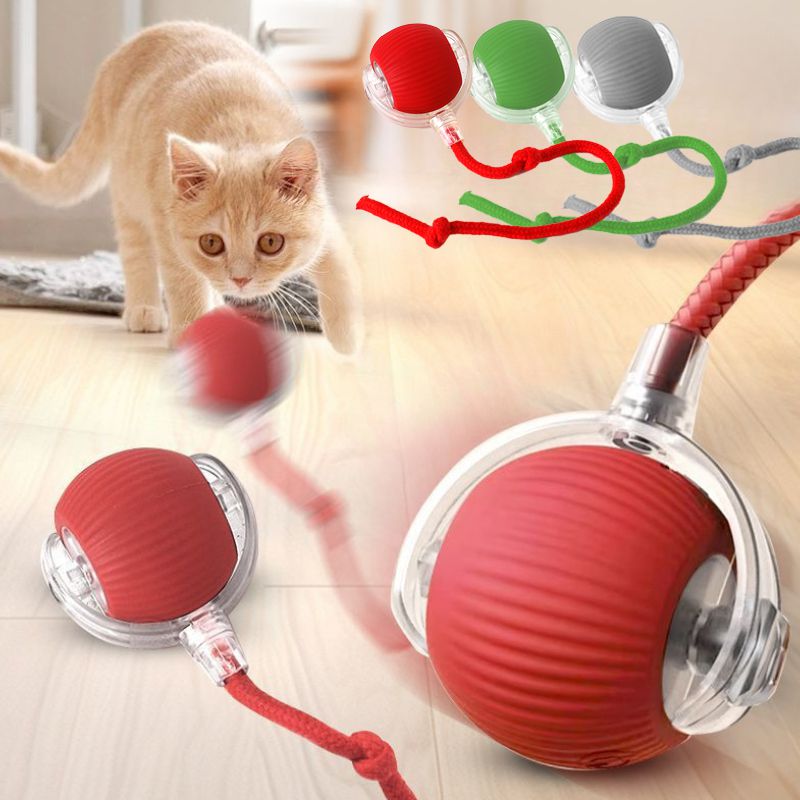 Chat Interactive Ball Toys Automatic Rolling Ball pour Kitten Smart Pet Electri rechargeable