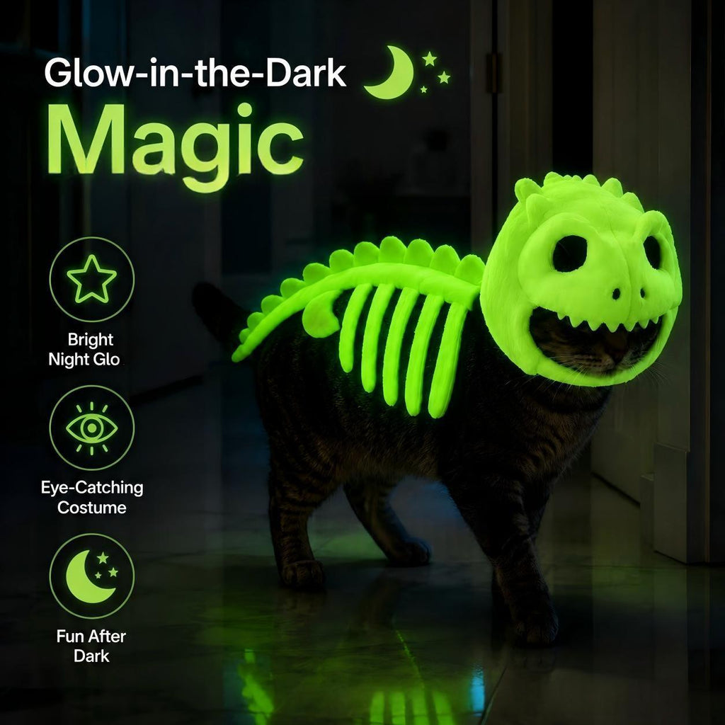 Costume de chat de squelette de dinosaure