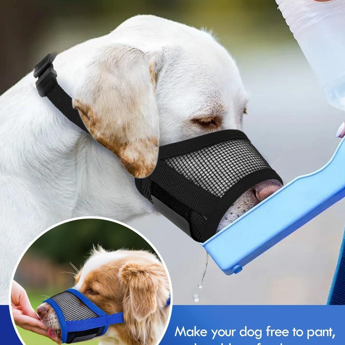 Muselière de chien, Masque de chien anti-Biting, Barking et Manger, Muselière de chien de taille moyenne, Muz de chien
