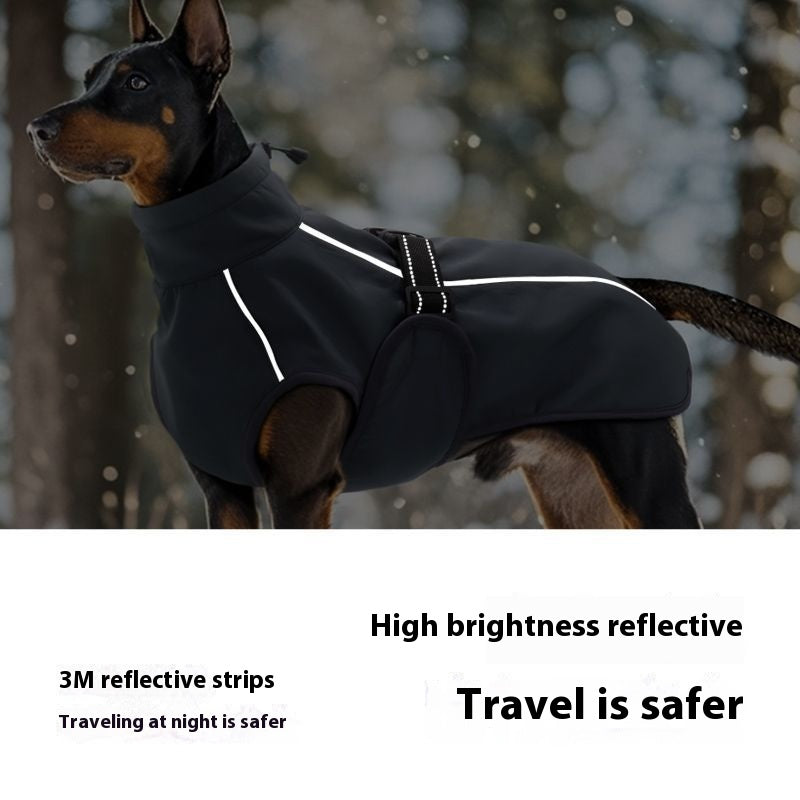 Teddy Automne et vêtements d'hiver Veste d'hiver épais manteau d'hiver