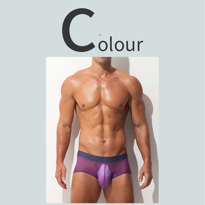 Boxer Slips Ultra-fin Sheer Silk glacé Low-rise Sexy