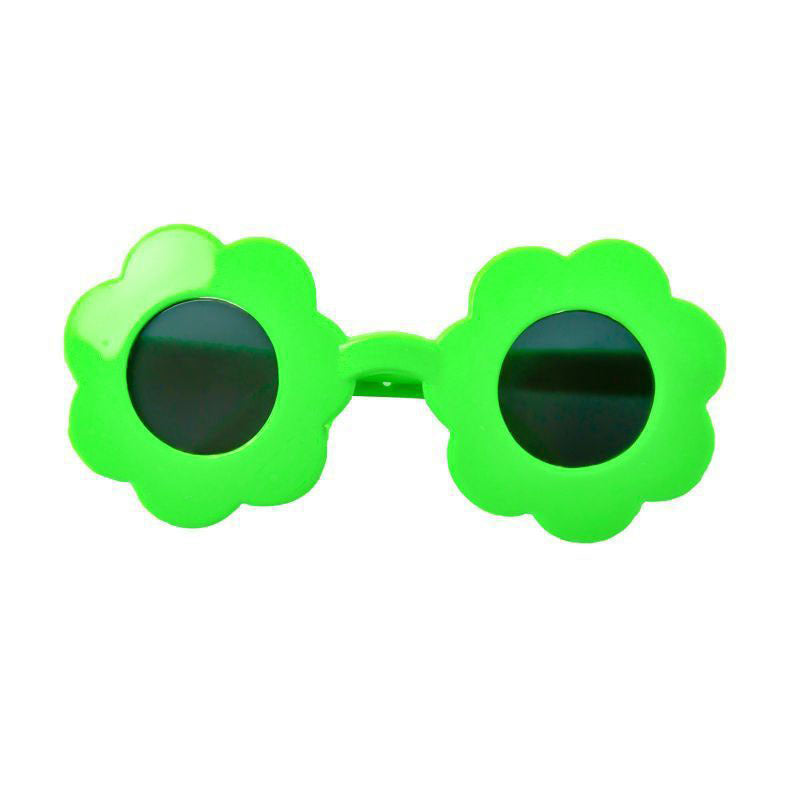 Lunettes de soleil pour animaux de compagnie